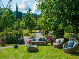 Fattoria Torcigliano Registrazione all'aperto 6