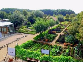 Villa Beesel  35