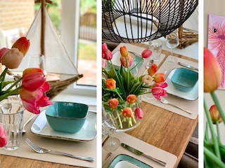 Holiday house Sint Maartenszee Outdoor Recording 7