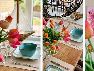 Maison de vacances Sint Maartenszee Enregistrement extérieur 7