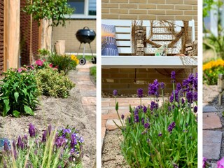 Maison de vacances Sint Maartenszee Enregistrement extérieur 24