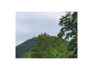 Aussicht vom Garten