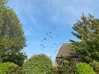 Ferienwohnung List Umgebung 17