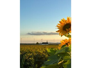 Ferienhaus Worms Umgebung 17