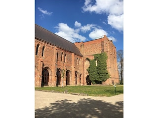 Klosterruine Dargun