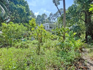 Villa im Grünen