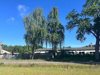 Ferienhaus Eickhof