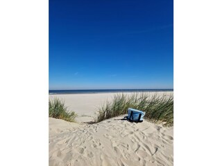 Strand Nes