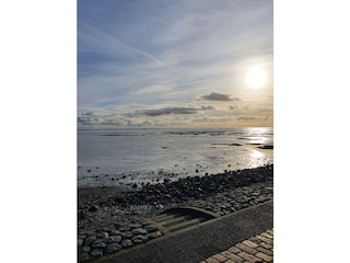 Wattenmeer