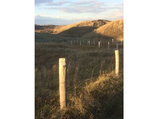 Weg durch die Dünen