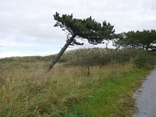 Het Zwanenwater Natuurmomumenten bei Callantsoog