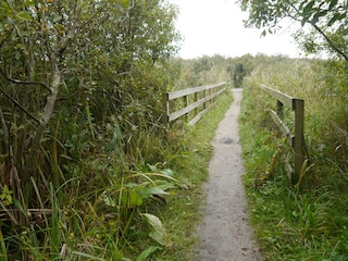 Het Zwanenwater Natuurmomumenten bei Callantsoog