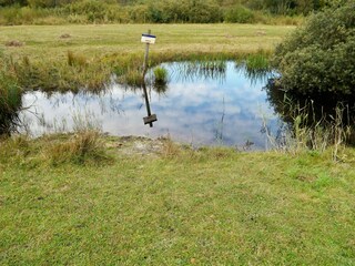 Het Zwanenwater