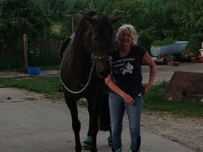 Firma Ferienhausvermietung Hausi - Frau Gudrun Rosenwink