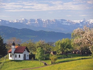 Vakantieappartement Scheidegg Omgeving 31