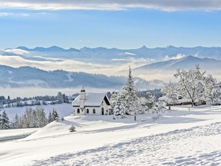 Vakantieappartement Scheidegg Omgeving 29