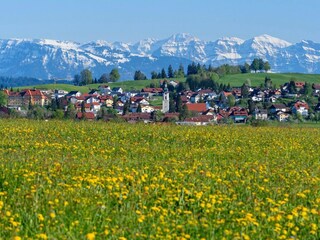 Vakantieappartement Scheidegg Omgeving 20