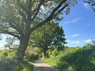 Ringsberg field footpath