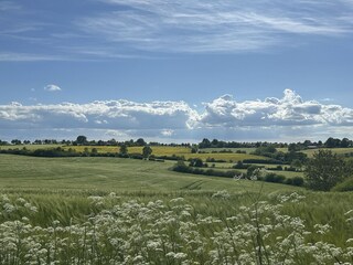 sourroundings of Ringsberg