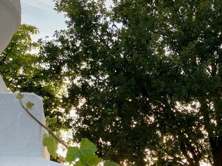 Holiday house Grömitz Environment 14