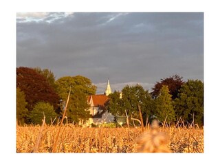 Holiday house Grömitz Environment 16