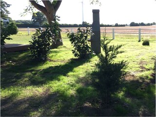 Holiday house Grömitz Environment 16