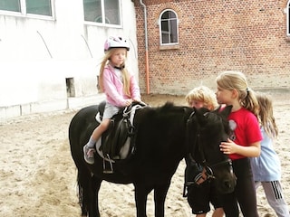 Ferienhaus Grömitz Umgebung 22