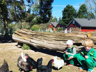 Ferienhaus Grömitz Außenaufnahme 2