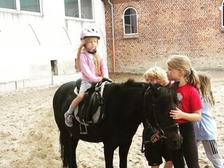 Holiday house Grömitz Environment 17