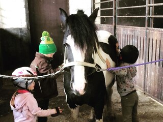 Ferienhaus Grömitz Umgebung 18