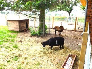 Holiday house Grömitz Environment 25