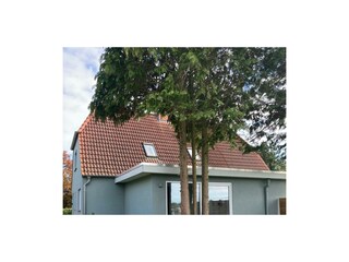 Ferienhaus Grömitz Außenaufnahme 2