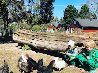 Holiday house Grömitz Outdoor Recording 3