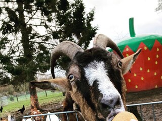 Holiday house Grömitz Environment 27