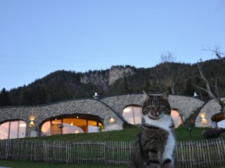 Chalet Weißensee Outdoor Recording 10