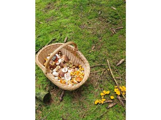 Appartement de vacances Tambach-Dietharz Environnement 22
