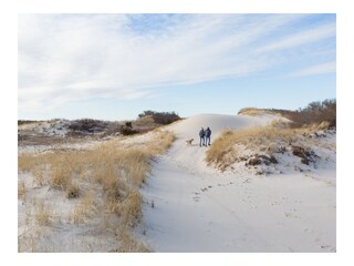 Chalet Noordwijk Entorno 24