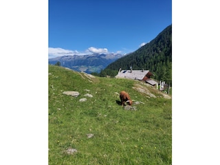 Wandern im Martelltal
