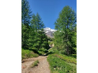 Wandern im Martelltal