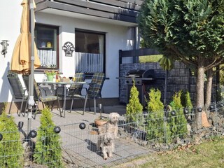Eingezäunte Terrasse mit Hunden