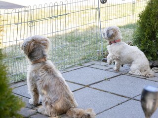 Zaun Höhe ca. 30 cm