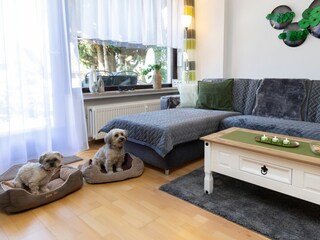 Wohnzimmer mit Hunden