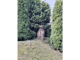 Ausblick in den Garten