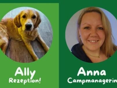 Firma Hoepkens Hof und Campingplatz - Frau Anna Liebelt