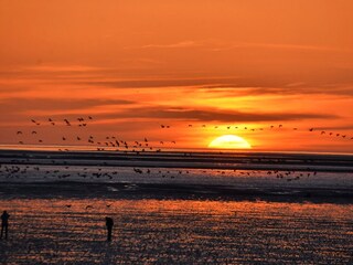 traumhafter Sonnenuntergang