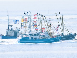 Kutterregatta