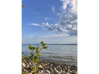 Bodensee in Meersburg
