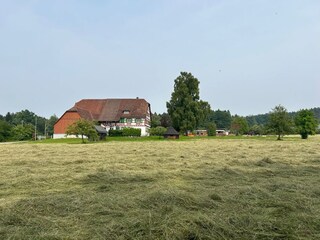 Der Hof im Sommer