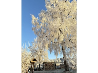 Der Winkelhof im Winter