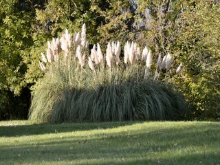 Villa Villaines-sous-Malicorne Buitenaudio-opname 7